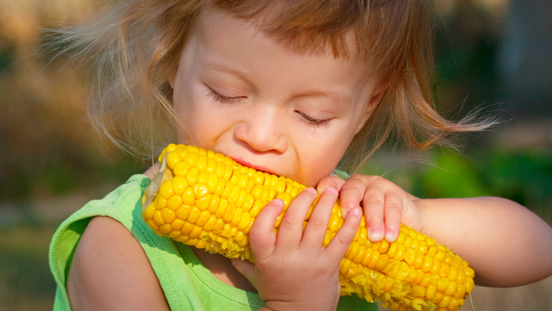 Est-il possible de manger du maïs bouilli tout en perdant du poids: teneur en calories, méfaits et avantages des céréales