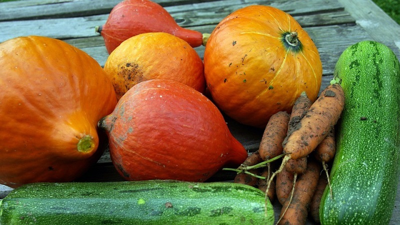 Est-il possible de congeler une citrouille tout en conservant le maximum de propriétés utiles: nous étudierons toutes les options possibles et choisirons la meilleure