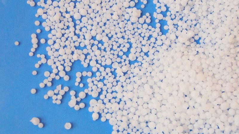 Règles simples pour un rendement record de tomates - Nourrir les tomates avec de l'urée: pourquoi est-ce nécessaire et comment le faire