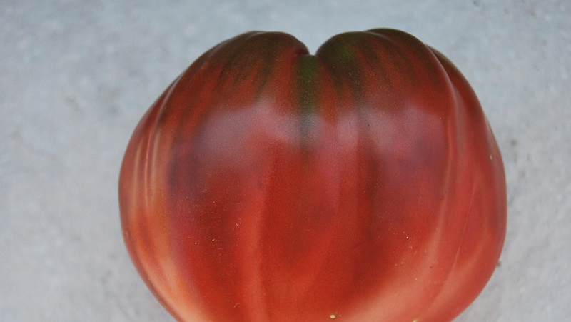 Un examen complet de la tomate Black Heart Breda: caractéristiques et description de la variété, ses avantages et ses inconvénients