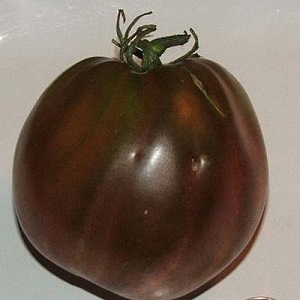 Un examen complet de la tomate Black Heart Breda: caractéristiques et description de la variété, ses avantages et ses inconvénients