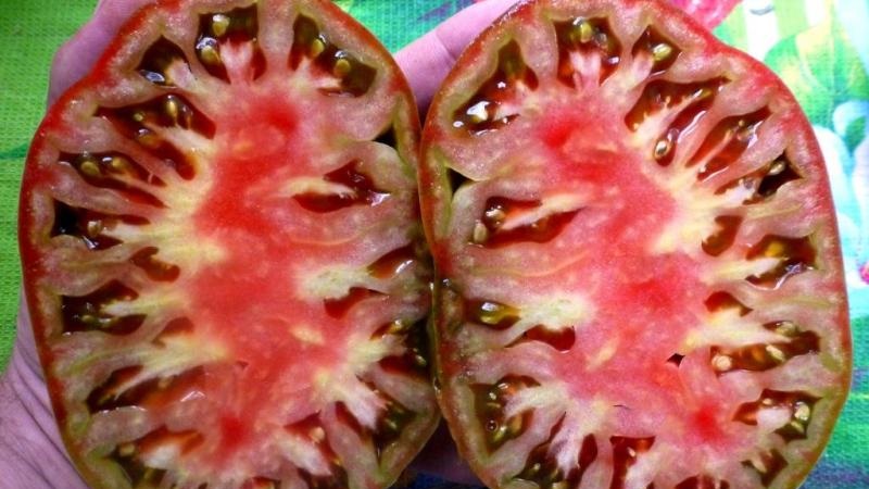 Un examen complet de la tomate Black Heart Breda: caractéristiques et description de la variété, ses avantages et ses inconvénients