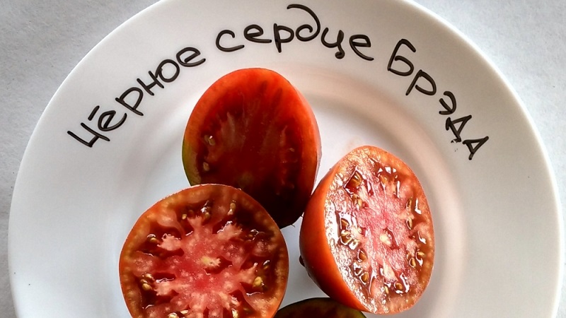 Un examen complet de la tomate Black Heart Brad: caractéristiques et description de la variété, ses avantages et ses inconvénients