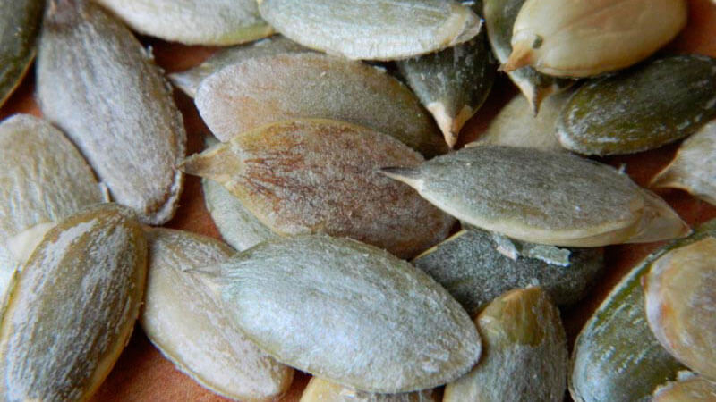 Les avantages et les inconvénients des graines de citrouille pour les femmes: effet thérapeutique et règles d'utilisation des graines de citrouille