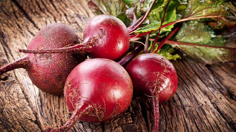 Instructions étape par étape pour planter des betteraves au printemps en pleine terre et en prendre davantage soin