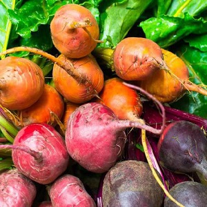 Instructions étape par étape pour planter des betteraves au printemps en pleine terre et en prendre davantage soin