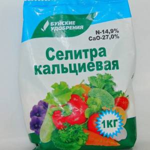 Instructions étape par étape pour la culture de semis de poivron à la maison pour les cultivateurs de légumes novices