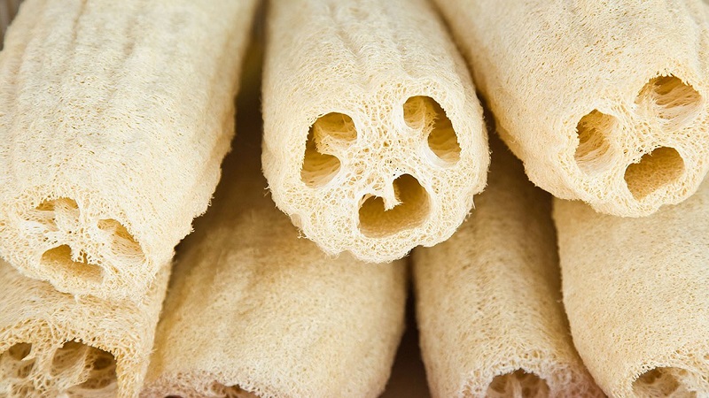 Le type le plus inhabituel de citrouille Luffa: qu'est-ce que c'est et comment en faire le luffa naturel le plus utile