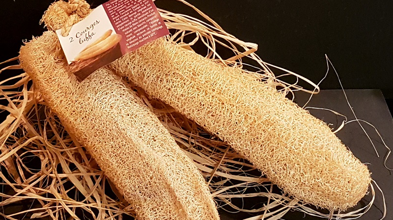 Le type le plus inhabituel de citrouille Luffa: qu'est-ce que c'est et comment en faire le luffa naturel le plus utile