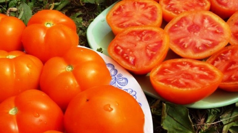 La variété qui deviendra votre préférée est la tomate pamplemousse: grande, sans prétention dans les soins et incroyablement savoureuse