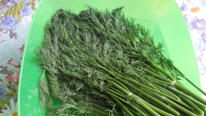 Comment utiliser les tiges d'aneth pour un bénéfice maximal
