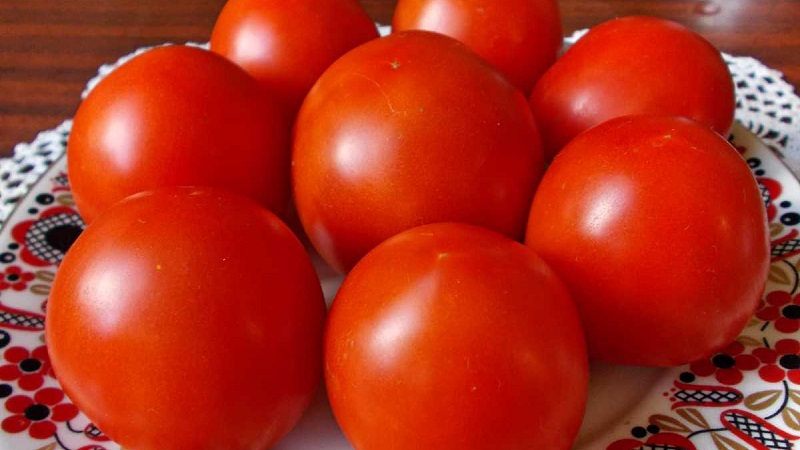 Variété très précoce avec un rendement impressionnant - Tomate Zhenechka: critiques, photos, secrets de culture