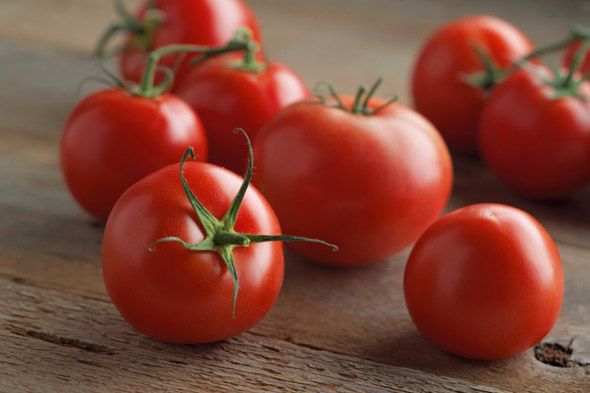 Un cadeau des éleveurs de l'Oural pour les régions à climat froid - Tomate Krasnaya Gvardiya