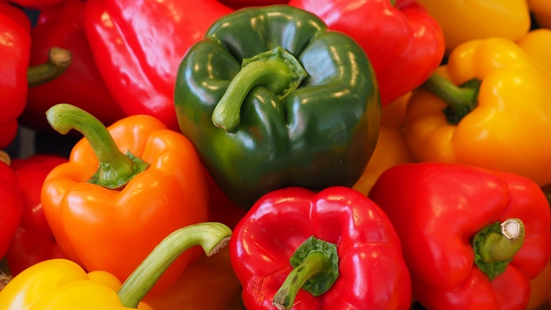 Top 10 des meilleurs poivrons doux à paroi épaisse pour une utilisation en extérieur