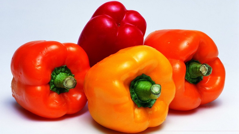 Top 10 des meilleurs poivrons doux à paroi épaisse pour une utilisation en extérieur