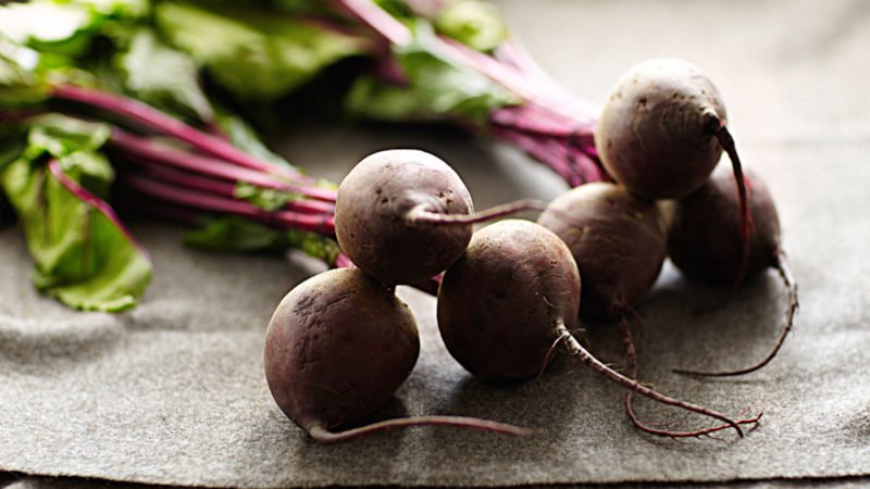 Les propriétés curatives de la betterave rouge et les contre-indications à son utilisation