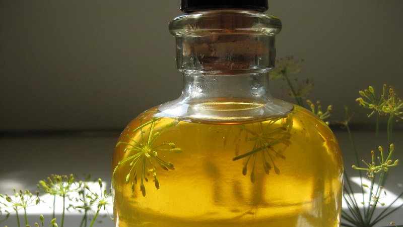 Nous apprendrons à faire de l'huile d'aneth à la maison: instructions de préparation et règles d'utilisation de l'huile d'aneth
