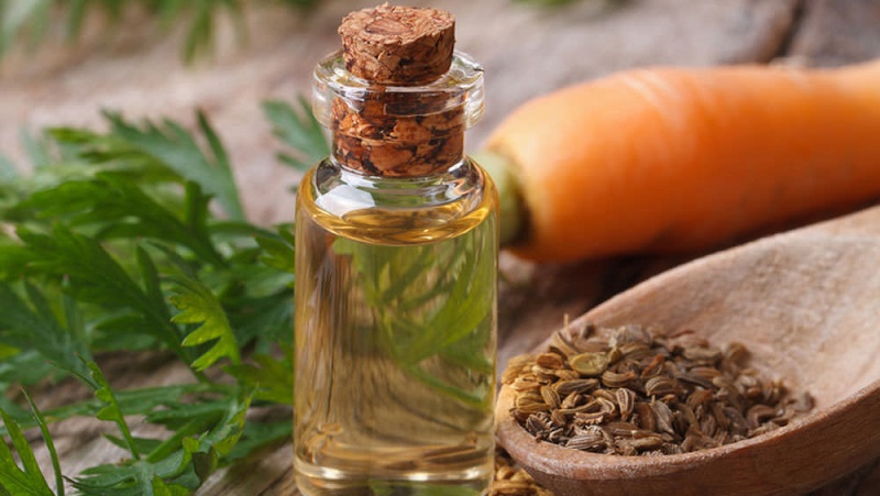 Nous apprendrons à faire de l'huile d'aneth à la maison: instructions de préparation et règles d'utilisation de l'huile d'aneth