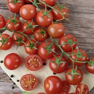 Nous cultivons des tomates bonbons sur notre site: Tomate cerise sucrée