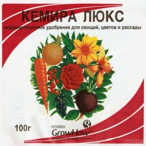 Populaire parmi les agriculteurs citrouille Doux d'hiver avec un goût agréable et un rendement élevé pour un stockage à long terme