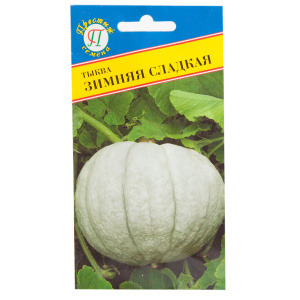 Populaire parmi les agriculteurs citrouille Winter Sweet avec un goût agréable et un rendement élevé pour un stockage à long terme