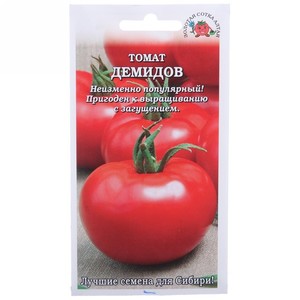 Tomate Demidov, célèbre pour son endurance et appréciée des jardiniers