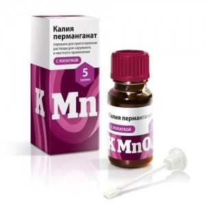 Une grande et douce variété de poivre Big Girl: critiques des résidents d'été et de leurs secrets de croissance