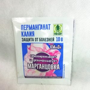 Variété d'aubergine à maturité et à maturité précoce Bourgeois