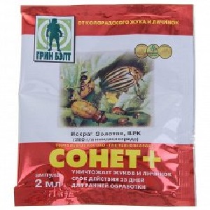 Variété d'aubergine à maturité et à maturité précoce Bourgeois