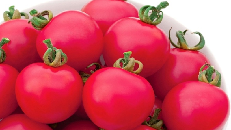 Ce que vous allez adorer à propos de la tomate hybride Pink Paradise