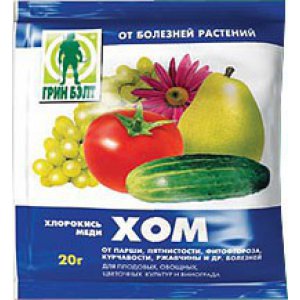 Piment Red Bull juteux et productif pour cultiver des fruits exceptionnellement savoureux sur votre site