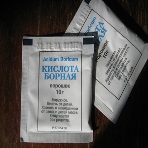 Règles de base pour le traitement des tomates avec de l'acide borique: préparer une solution et vaporiser, en évitant les erreurs