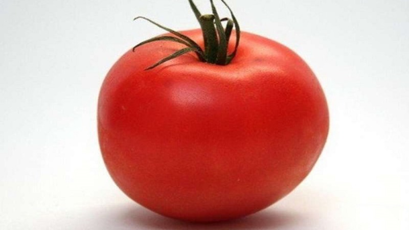 Un hybride persistant des sélectionneurs japonais - Michelle Tomato F1: Cultivez nous-mêmes sans tracas