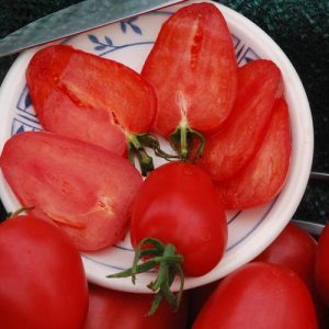 Variété de tomate Fraise - Résistance aux maladies sibériennes et rendement élevé