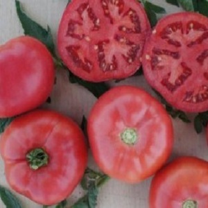 Un hybride produit par des sélectionneurs japonais - la tomate Pink Impression et les nuances de sa culture