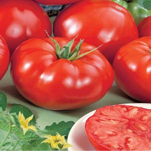 Dutch tomato Big Beef F1: ce que les jardiniers pensent de l'hybride néerlandais et conseils pour la culture