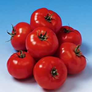 Vous surprendra par son rendement et son goût - Tomate Belle F1 et les secrets de la technologie agricole de jardiniers expérimentés