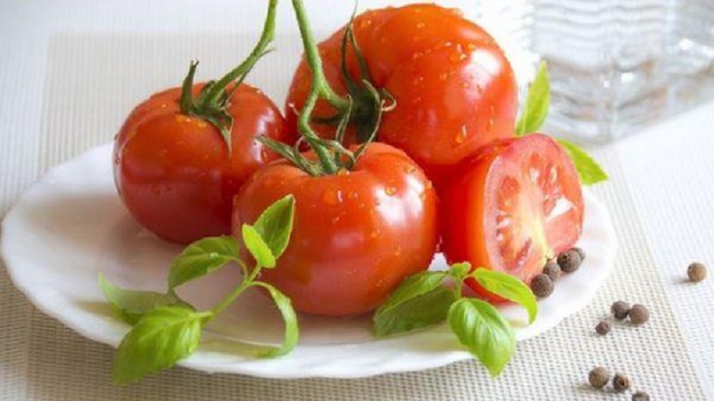 Un excellent hybride pour les grands espaces - la Shedi Lady Tomato F1: nous cultivons des tomates sans prétention sans tracas