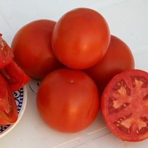 Un excellent hybride pour les grands espaces - la Shedi Lady Tomato F1: nous cultivons des tomates sans prétention sans tracas