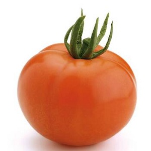 Si vous voulez obtenir une récolte précoce de tomates juteuses et sucrées, cultivez la tomate Aigen f1 sans trop de tracas