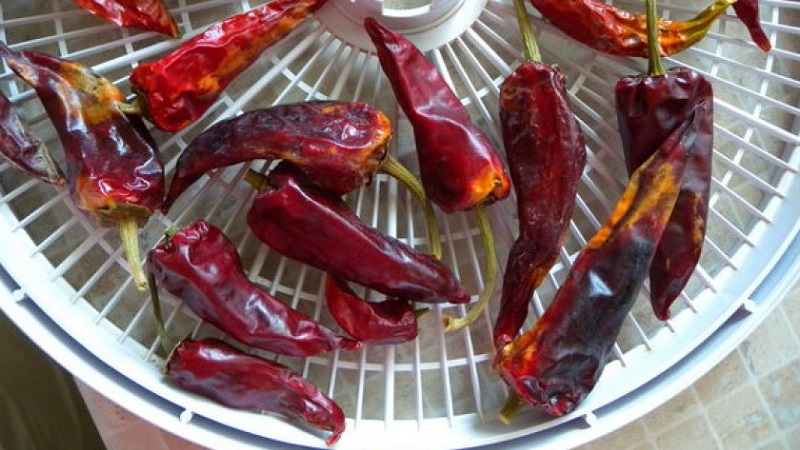 Comment garder les piments forts pour l'hiver à la maison congelés, séchés ou en conserve