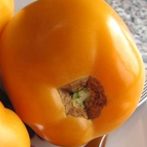 Un représentant brillant des variétés fructueuses de mi-saison - la tomate Radunitsa et des conseils pour sa bonne culture