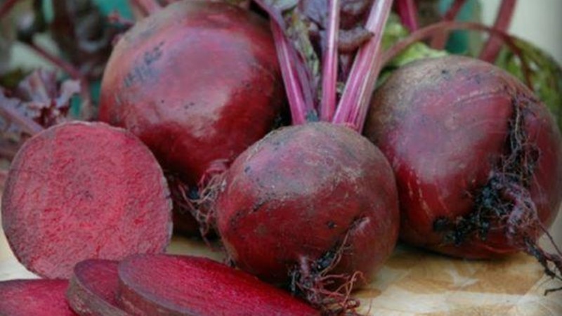 Betterave de table à haut rendement Boyarynya: nous la cultivons nous-mêmes sans trop de tracas