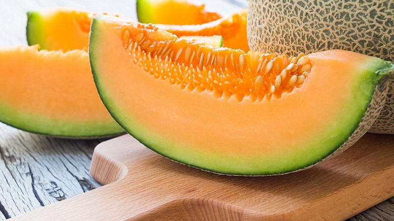 Examen de la variété sucrée et juteuse de melon Slavia