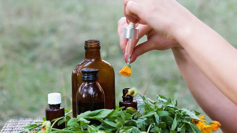 La meilleure façon de traiter l'aneth des pucerons