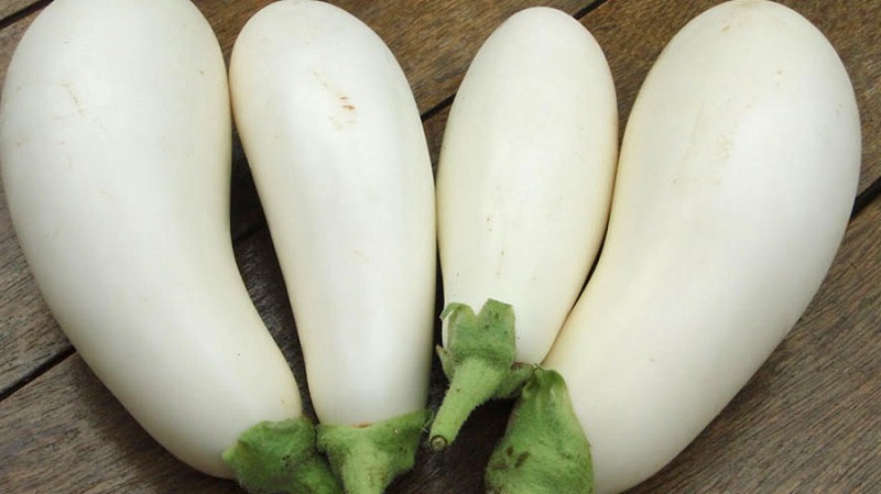 Que sont les aubergines blanches et en quoi elles diffèrent des aubergines ordinaires