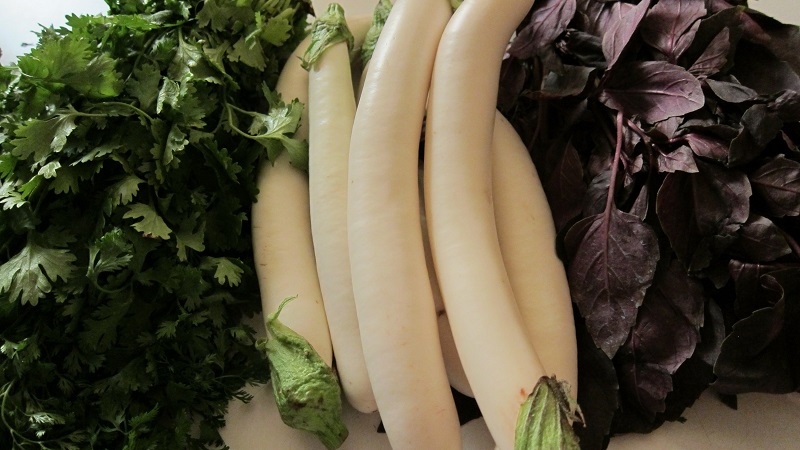 Que sont les aubergines blanches et en quoi elles diffèrent des aubergines ordinaires