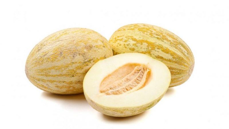 Le plus populaire et le plus apprécié de nombreux melons torpilles: nous choisissons le bon et le cultivons nous-mêmes