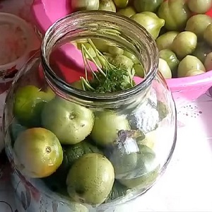 Comment faire cuire des tomates marinées dans des bocaux Comment utiliser des barils froids: recettes et astuces