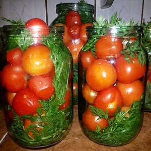 Comment faire cuire des tomates marinées dans des bocaux Comment utiliser des barils froids: recettes et astuces